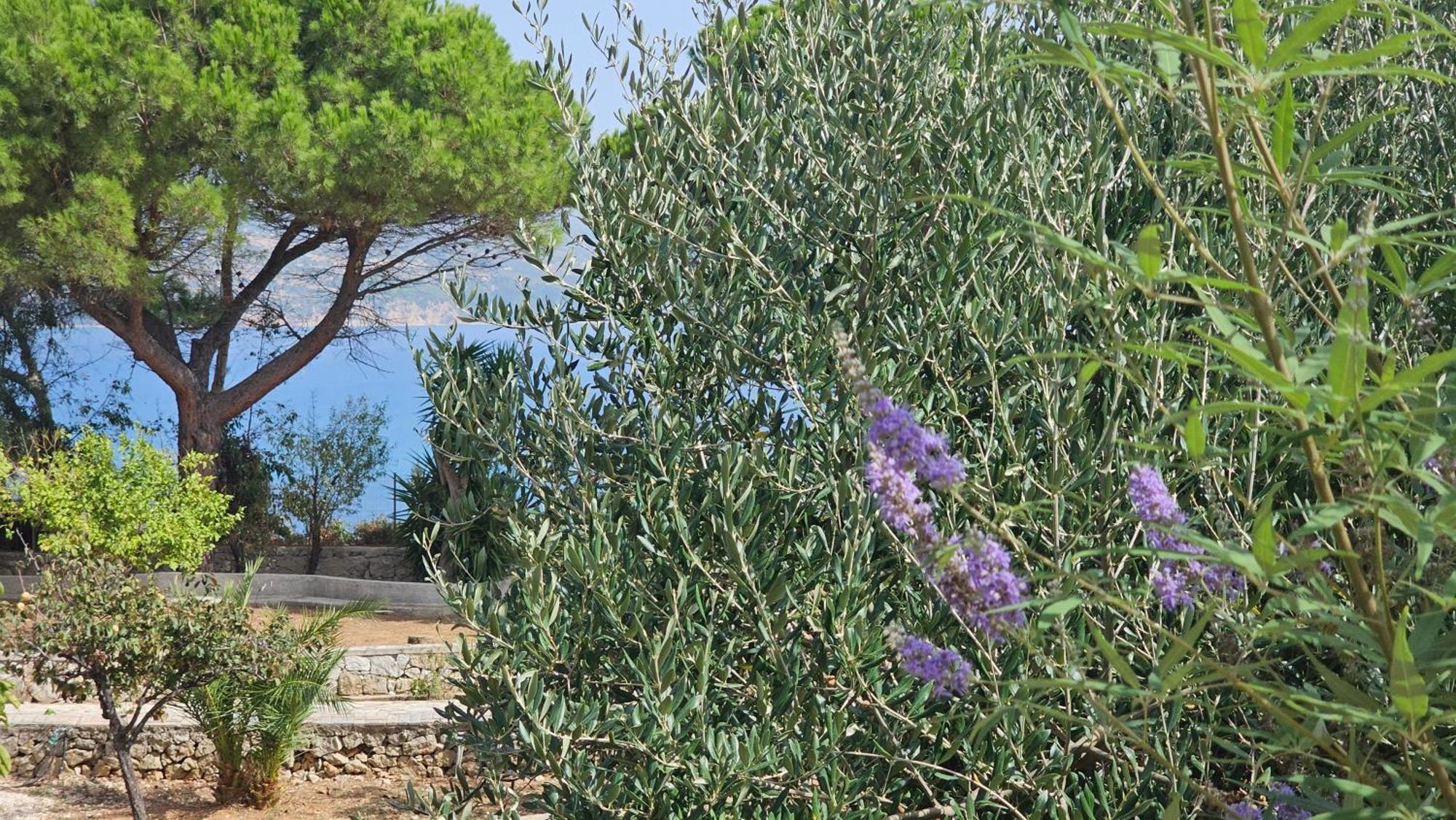 Ploes Luxury Cottages Pesádha Exterior foto